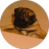 R Iaderosa